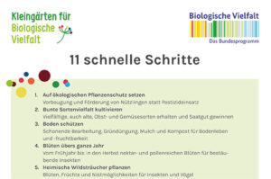 11 Tipps für mehr bIologische Vielfalt