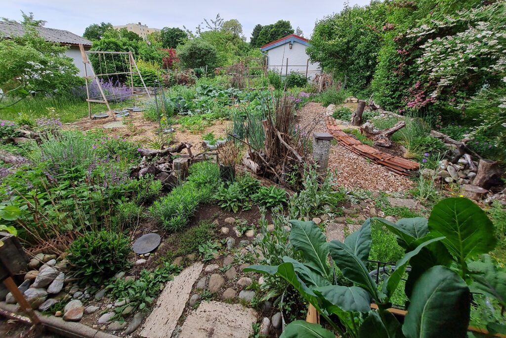 20250604 Kleingarten Tobias Bode1 2375x1583