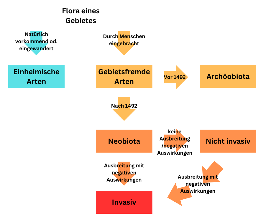 Abbildung 1
