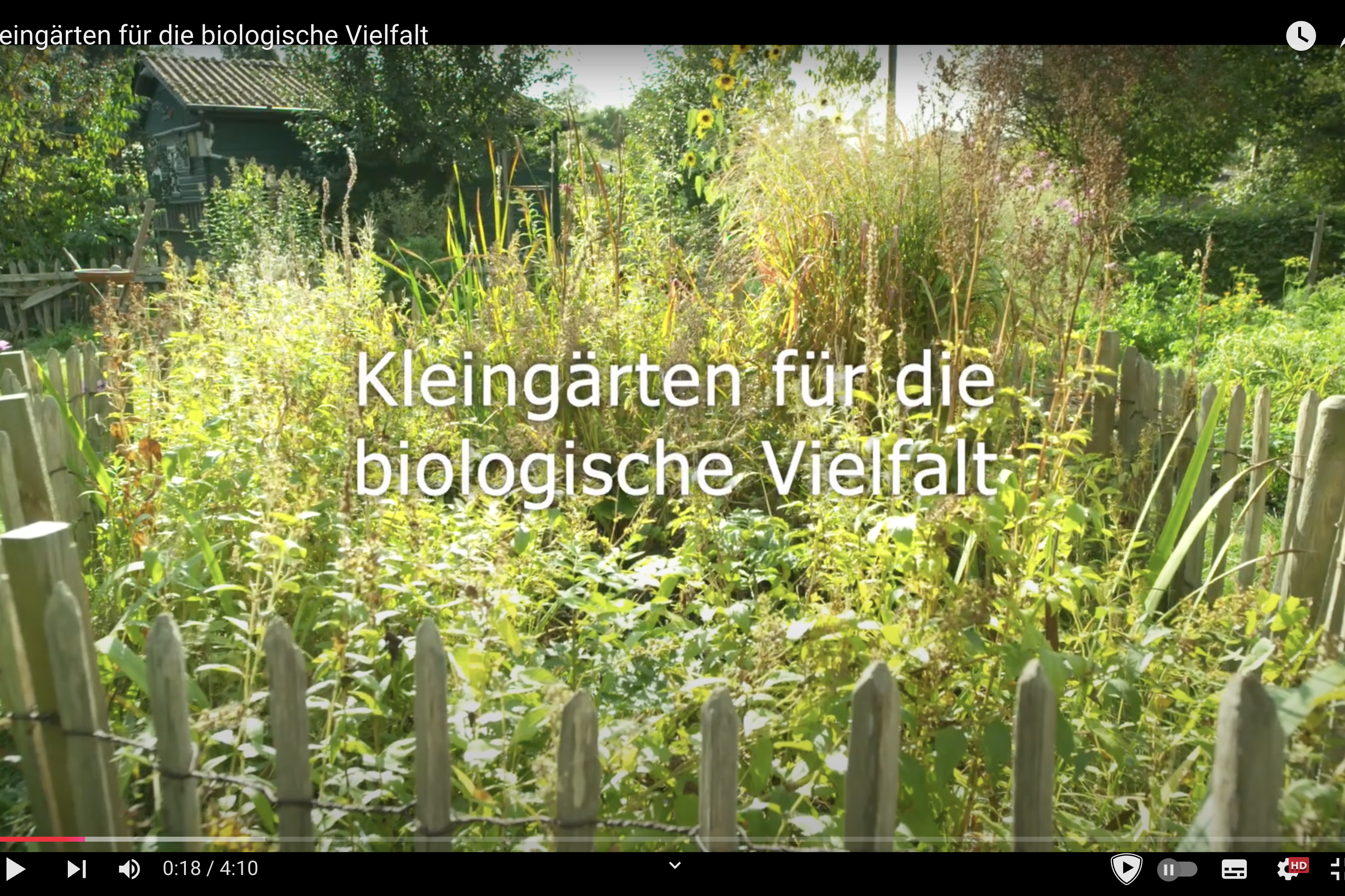 Video Kleingärten für die biologische Vielfalt