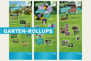 Fundus Ausstellung BUND GartenRollups
