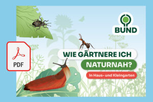 Fundus BUND Pdf Wie gaertnere ich naturnah