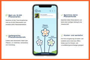 Fundus FloraIncognita Screenshot