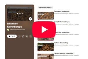 Fundus Kleinstbiotope auf Youtube