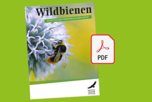 Fundus Wildbienen foerdern PDF Dt WildtierStiftung