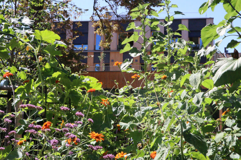 Abschlussveranstaltung