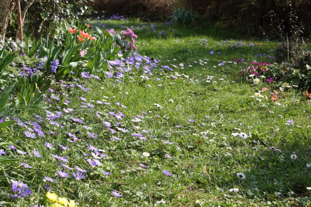 Kleingarten Fruehling