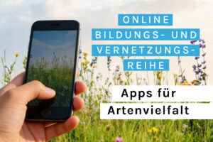 Newsletter Tiles App fuer Artenvielfalt
