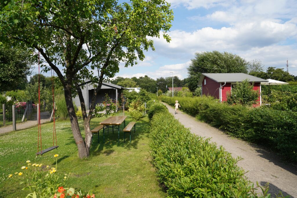 Niedrige Hecke