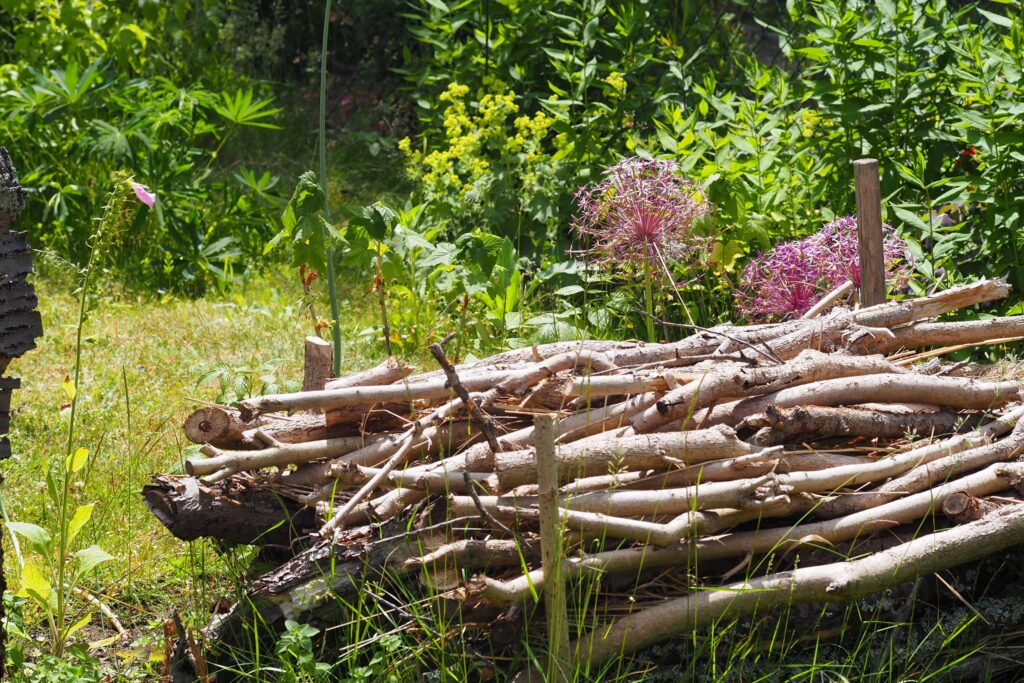 Strukturvielfalt für Insekten und Wildtiere