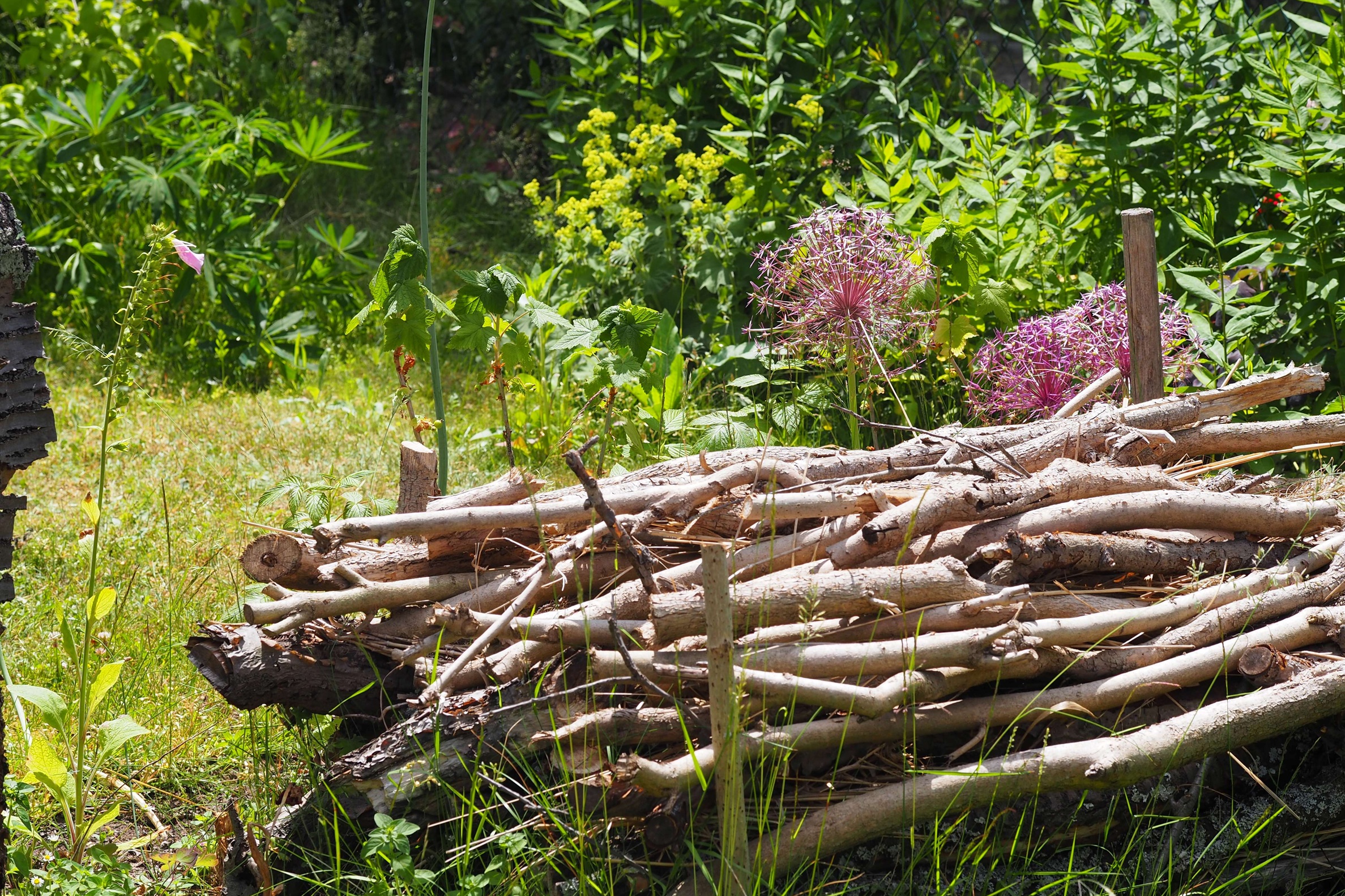 Totholzhaufen im Garten