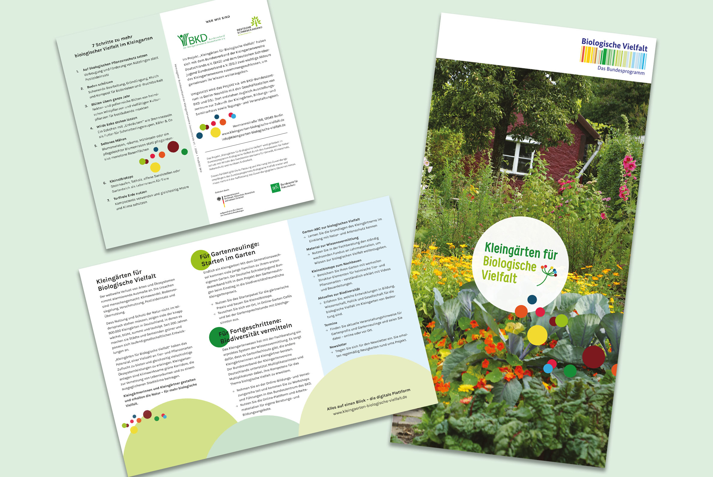 Gedruckter Projektflyer „Kleingärten für Biologische Vielfalt“