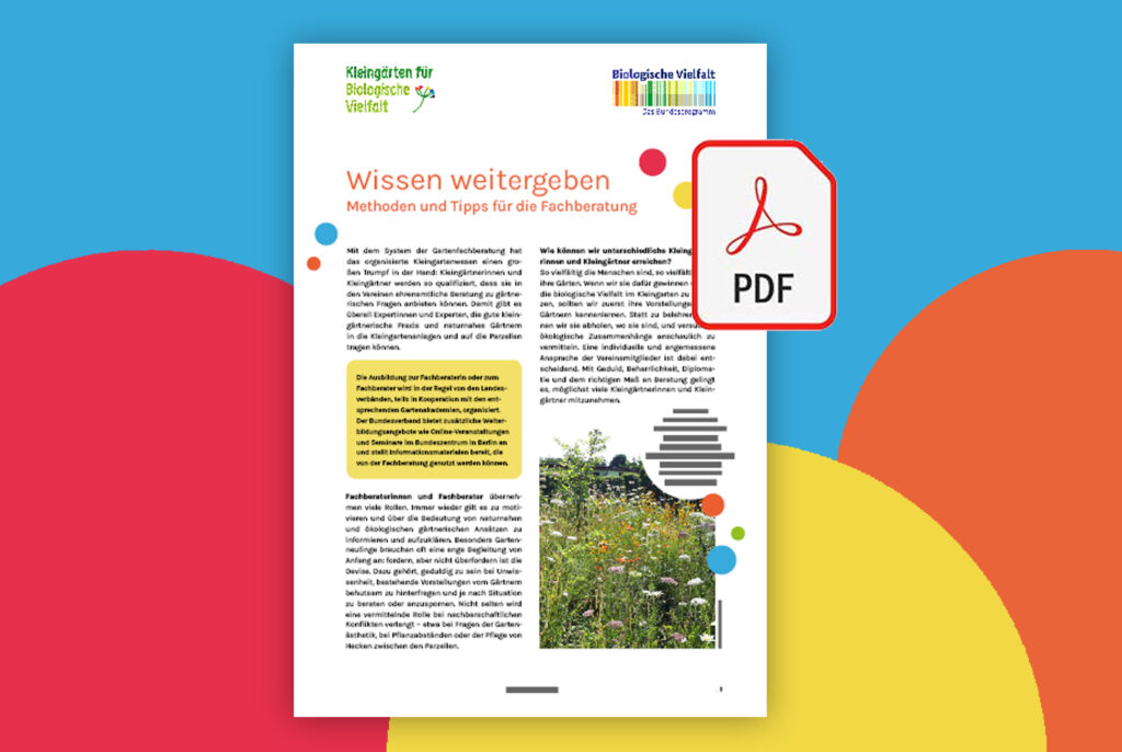 ProjektWebseite Fundus Bilder 150dpi Handreichung 2
