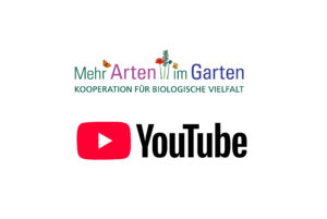 ProjektWebseite Fundus Youtube Mehr Arten im Garten