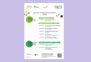 Screenshot 2026 02 03 131403 1