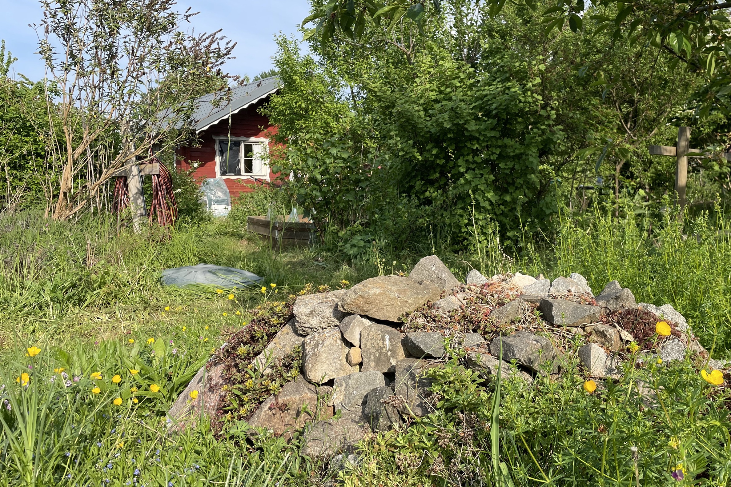 Steinhaufen in einem Kleingarten