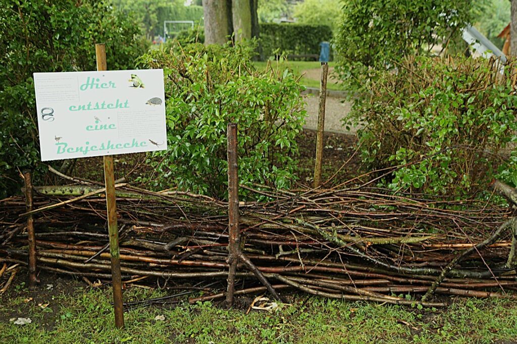 Ökologische Zusammenhänge anschaulich vermitteln