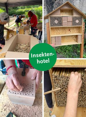 Insta-Vorlage_2026_Juni_Wildtierstiftung 2