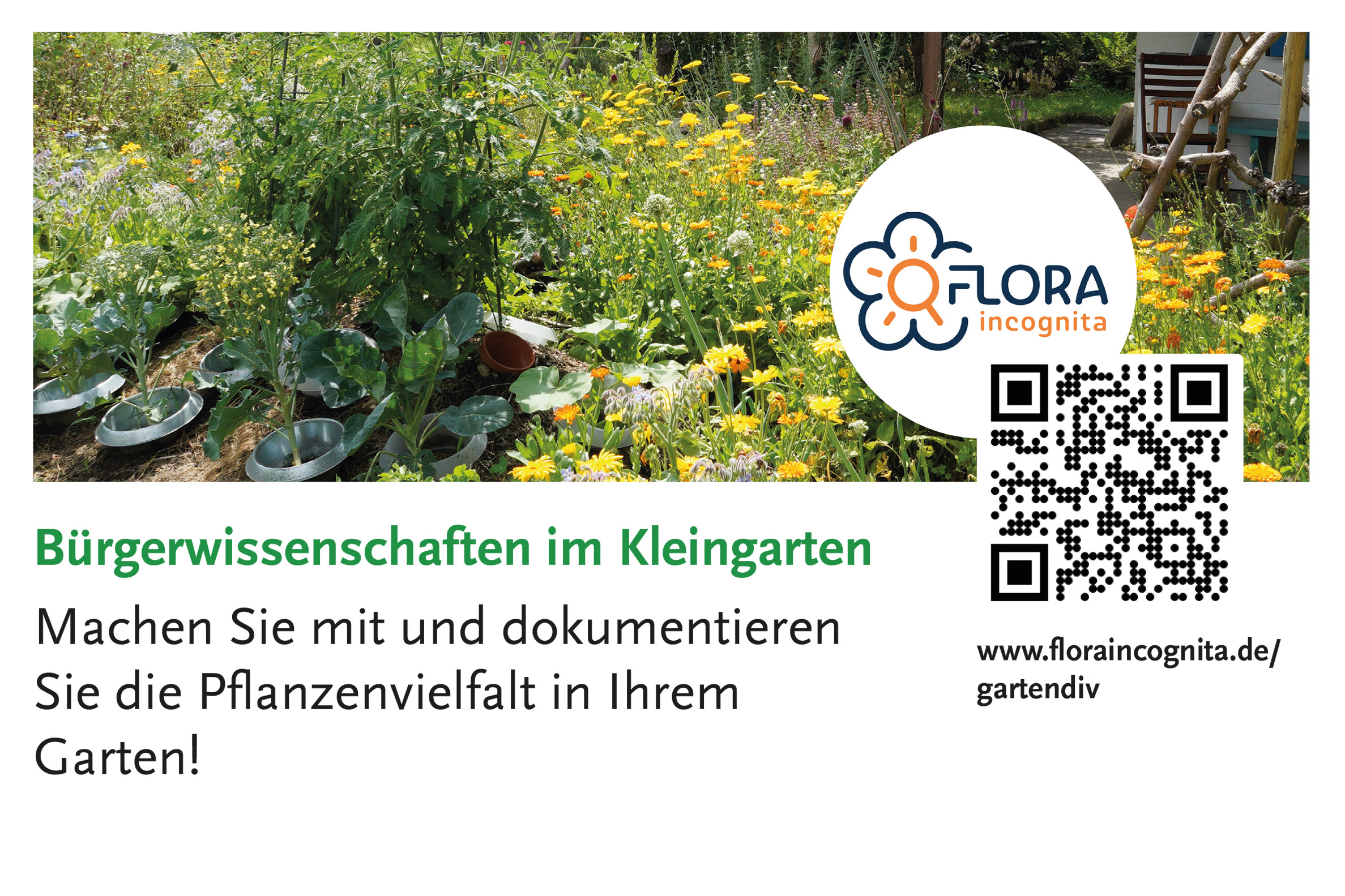Projekt GartenDiv