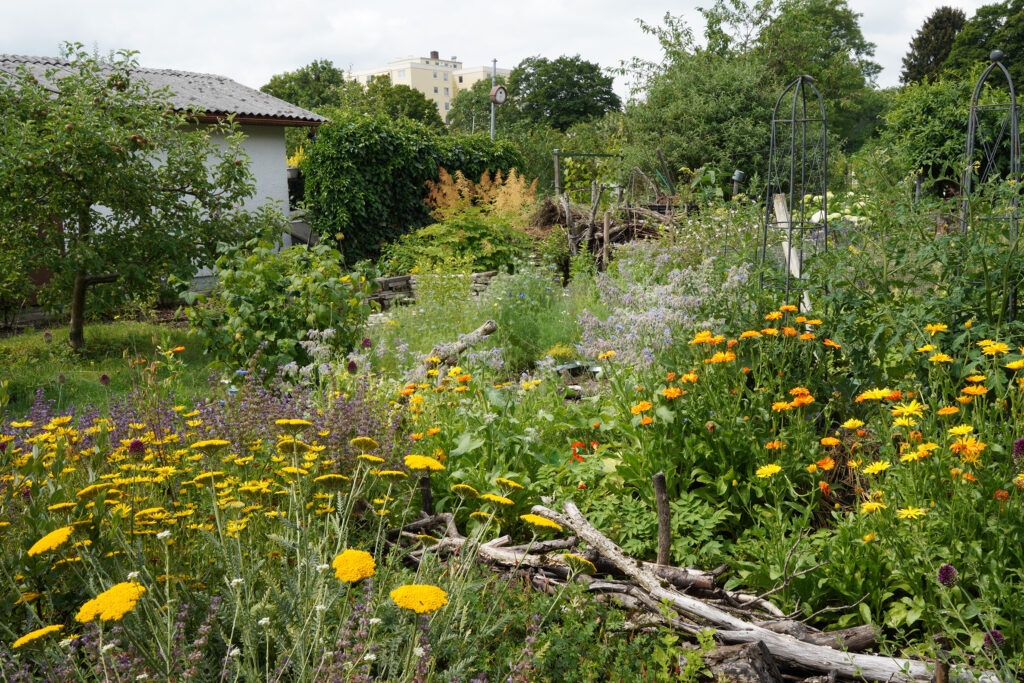 Ökologische Gartenordnung für den Kleingartenverein
