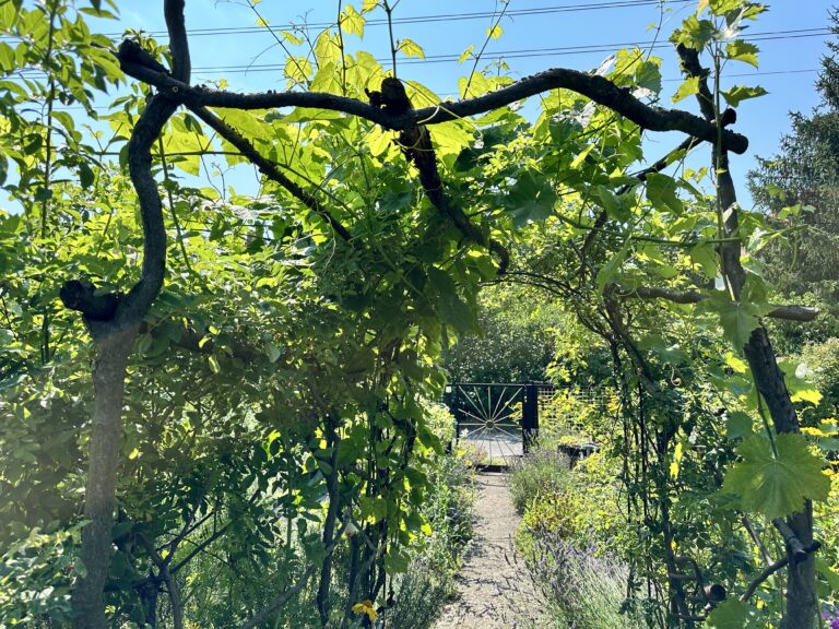 Ressourcen schonen im Kleingarten: Teil 1 – Gärtnern