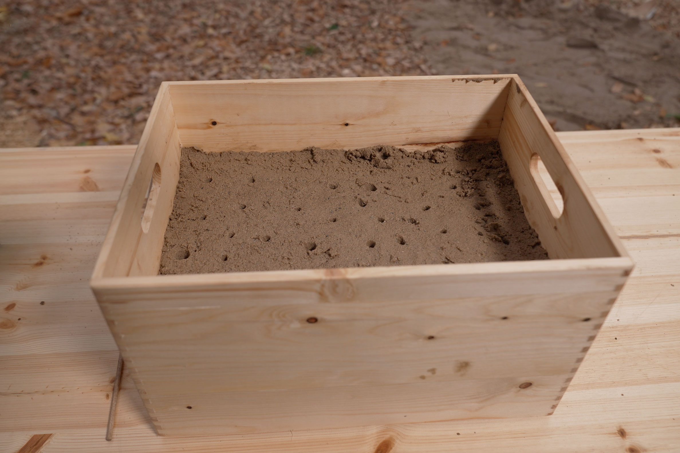 Vertikale Nisthilfe aus Lehm und Sand