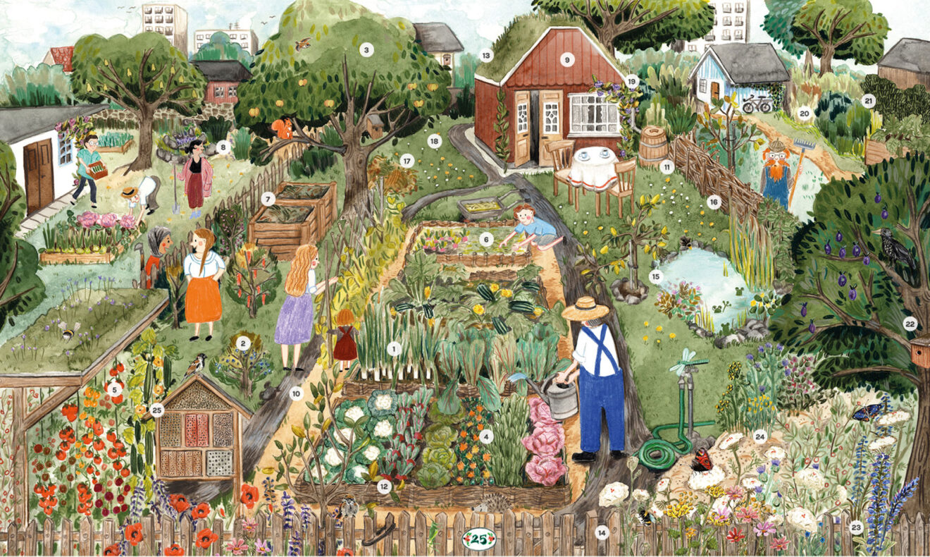 lustration eines Biodiversitätsfreundlichen Kleingartens